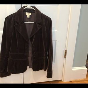 Loft brown velvet women’s fall jacket sz 6P